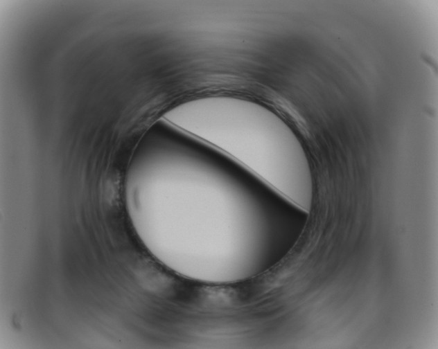 X0000096720073200802051109