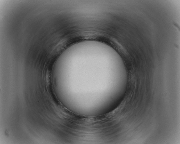 X0000096720074200802051109