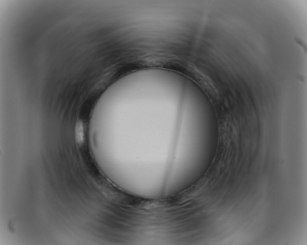 X0000096720075200802051109
