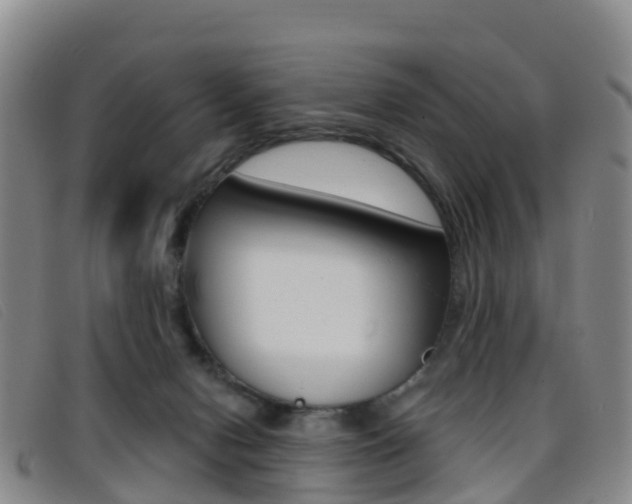 X0000096720078200802051109
