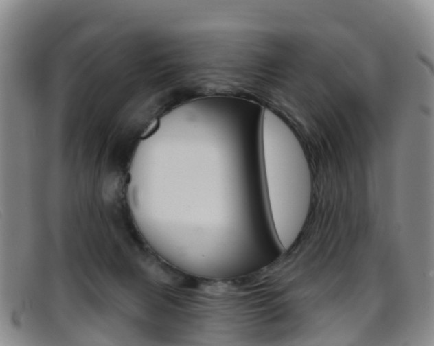 X0000096720079200802051109