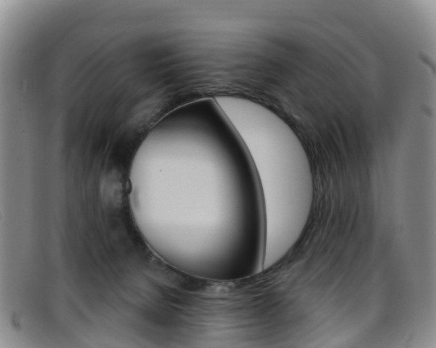 X0000096720080200802051109