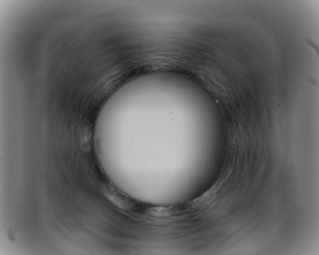 X0000096720082200802051109