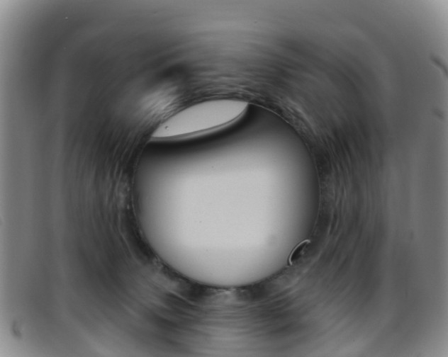X0000096720083200802051109