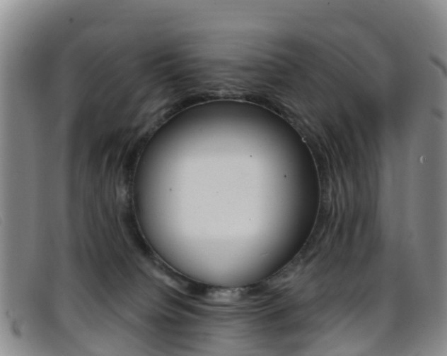 X0000096720084200802051109