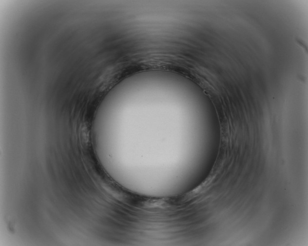 X0000096720086200802051109