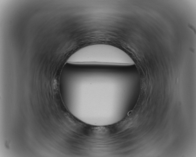 X0000096720087200802051109