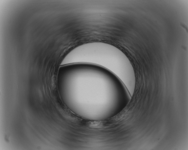 X0000096720088200802051109