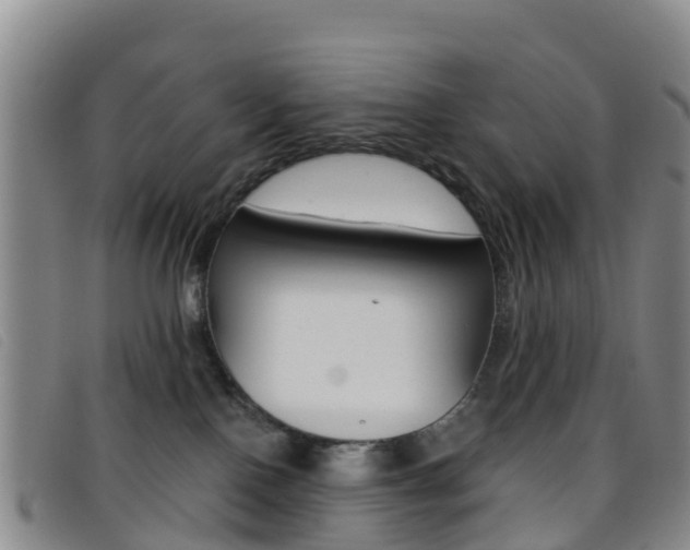 X0000096720090200802051109