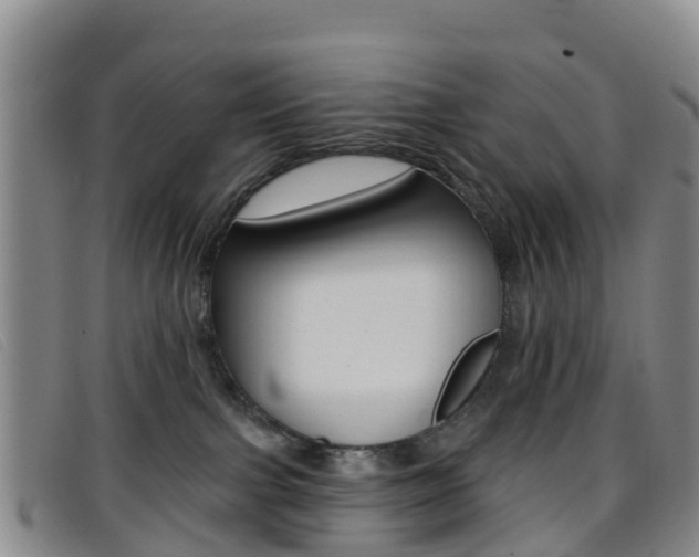 X0000096720091200802051109