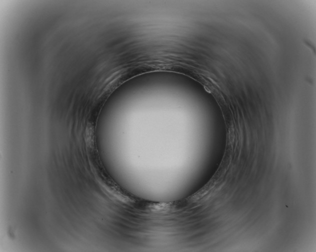 X0000096720092200802051109