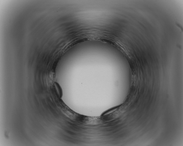 X0000096720093200802051109