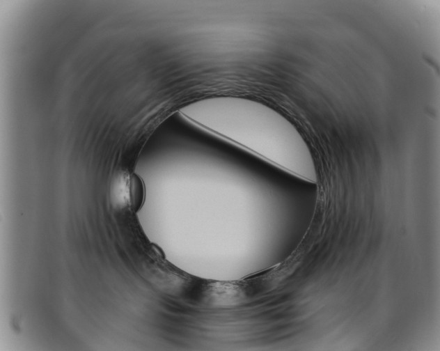X0000096720095200802051109
