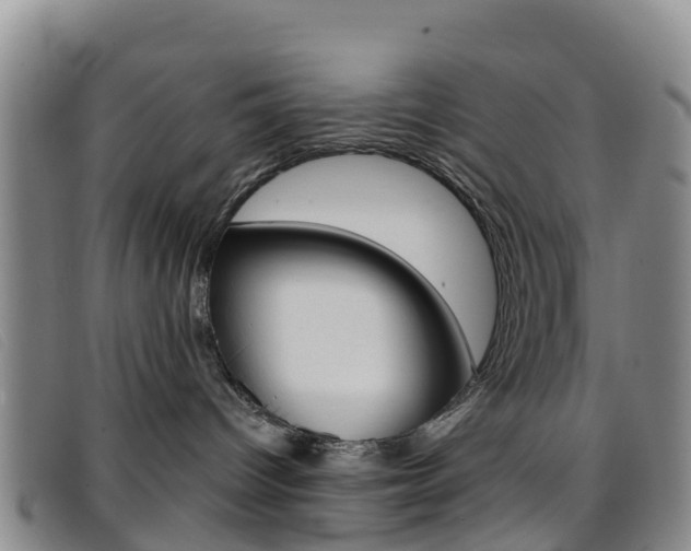 X0000096720096200802051109