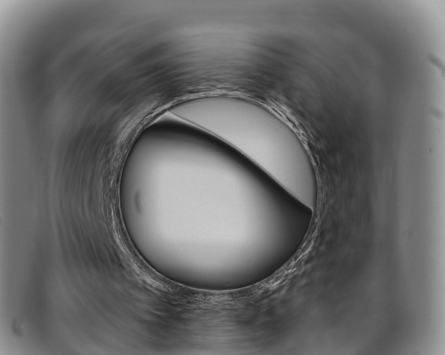 X0000096720097200802051109