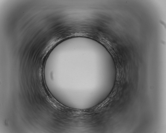 X0000096720098200802051109