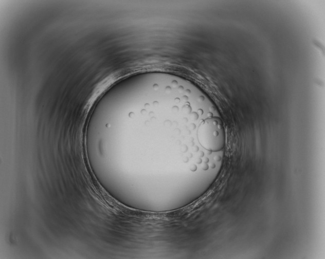 X0000096720099200802051108