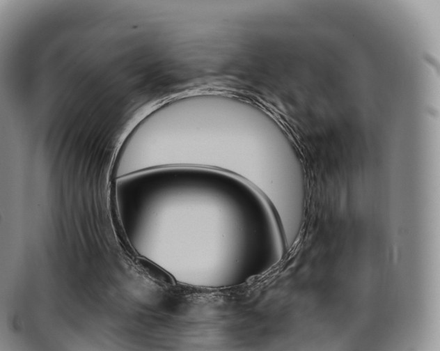 X0000096720100200802051108