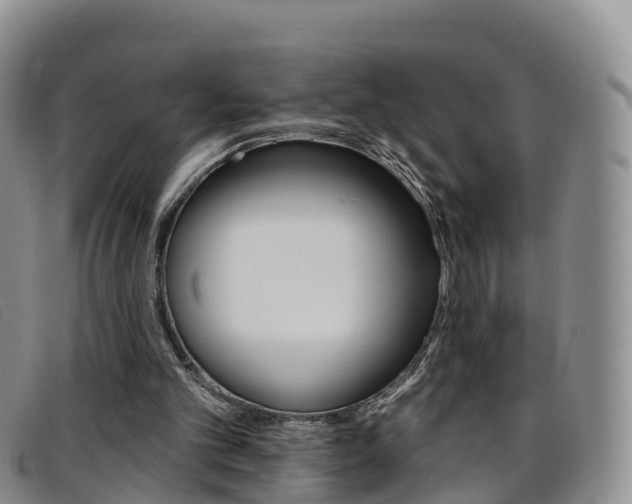 X0000096720101200802051108