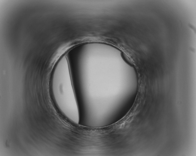 X0000096720103200802051108