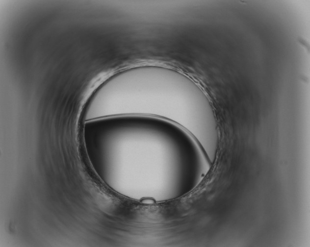 X0000096720104200802051108