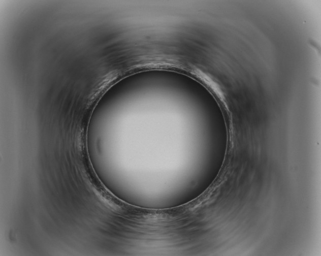 X0000096720105200802051108