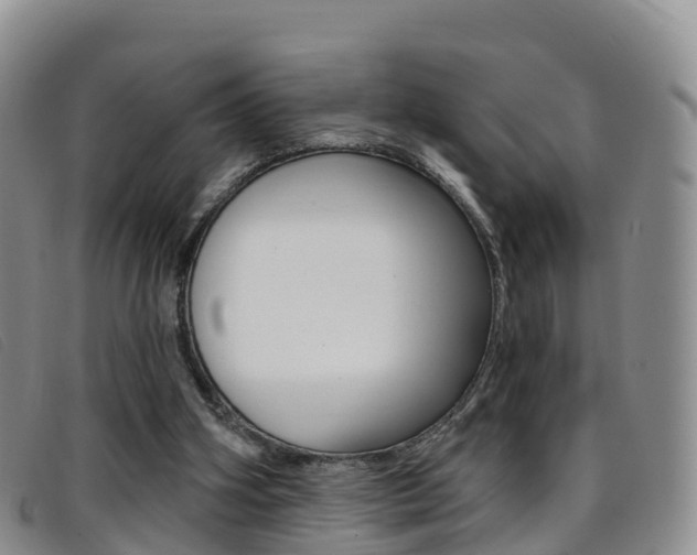 X0000096720106200802051108