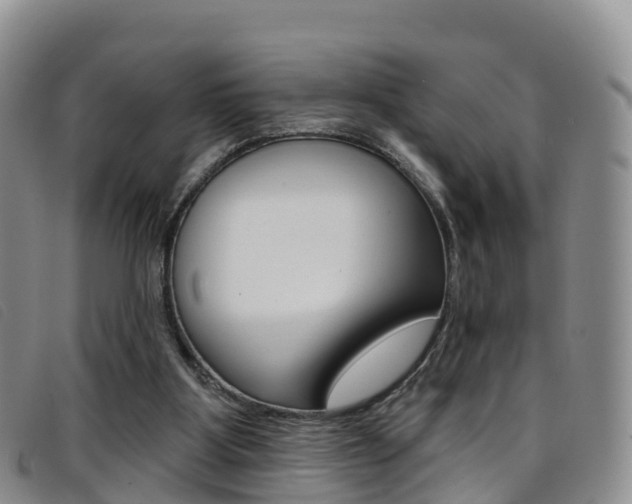 X0000096720107200802051108
