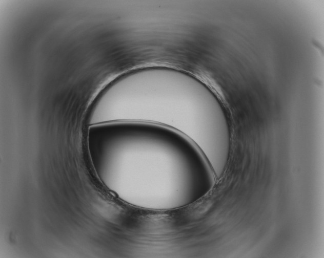 X0000096720108200802051108