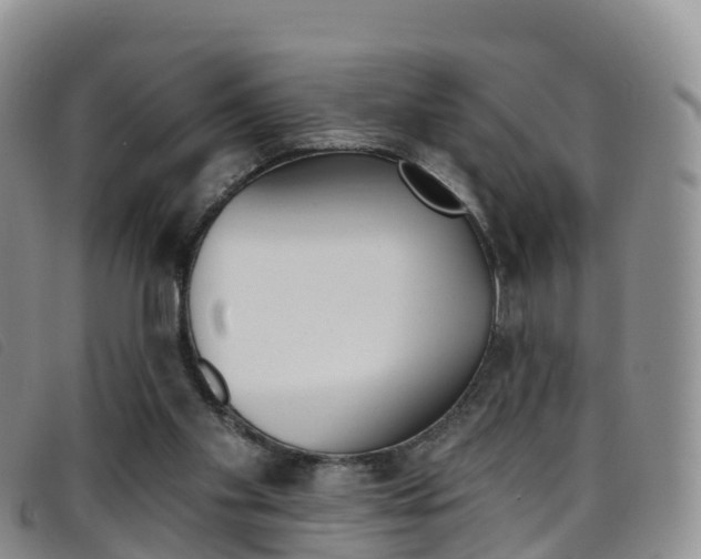 X0000096720109200802051108