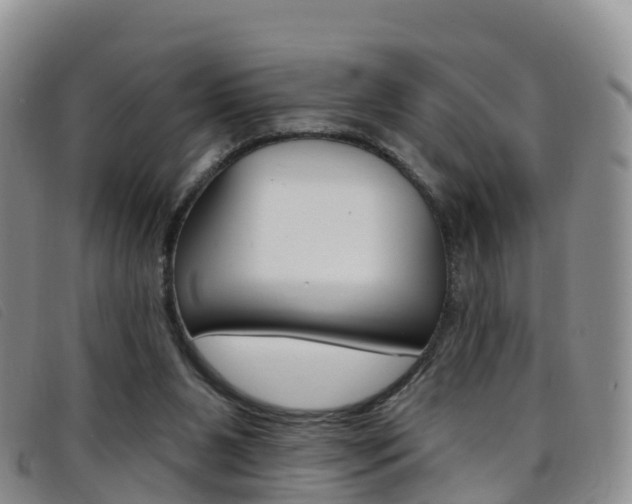X0000096720111200802051108