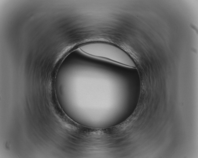 X0000096720112200802051108