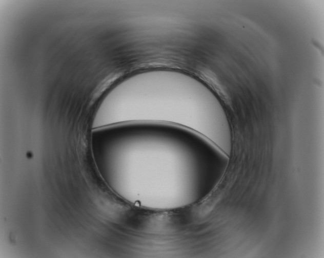 X0000096720116200802051108