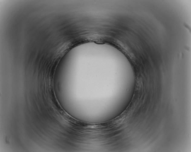 X0000096720117200802051108