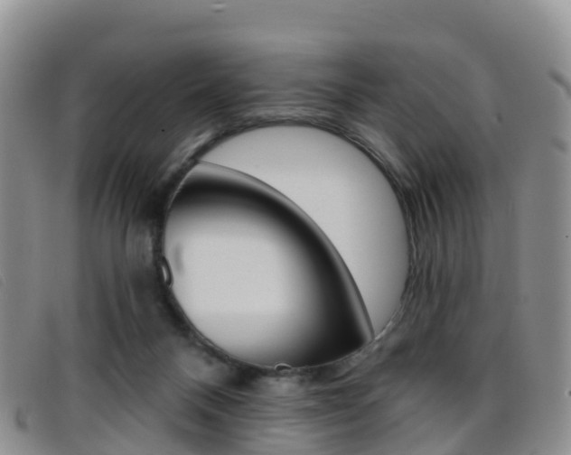 X0000096720120200802051108