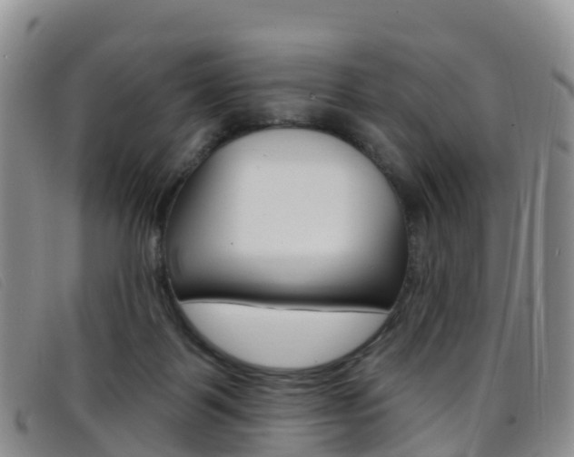X0000096720123200802051108