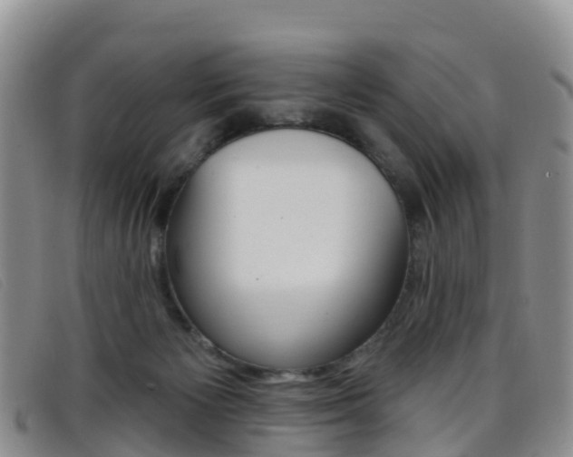 X0000096720125200802051108