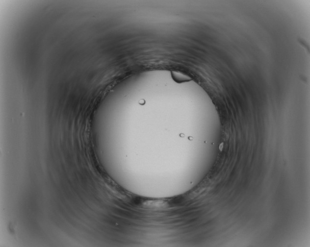 X0000096720133200802051108