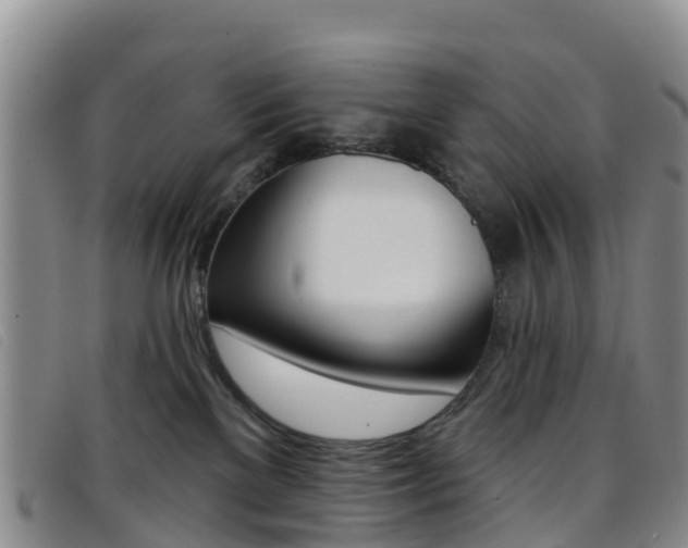 X0000096720137200802051108