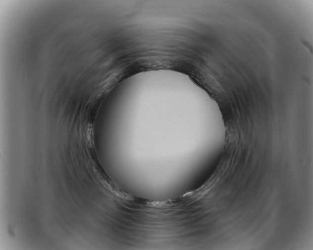 X0000096720141200802051108