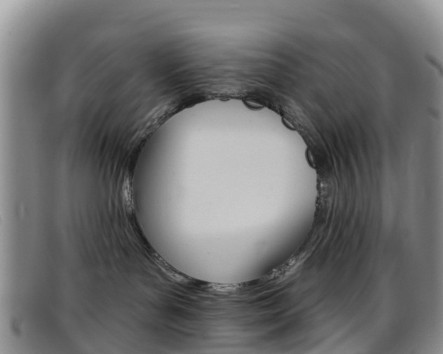 X0000096720143200802051108
