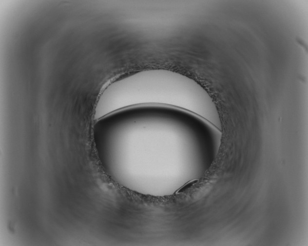 X0000096720144200802051108