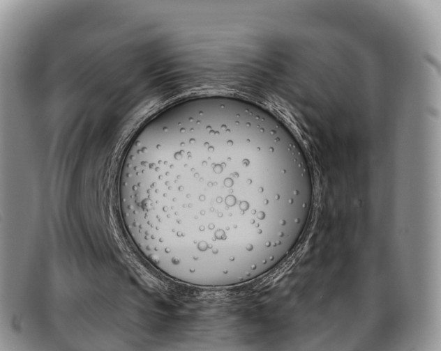 X0000096720145200802051107