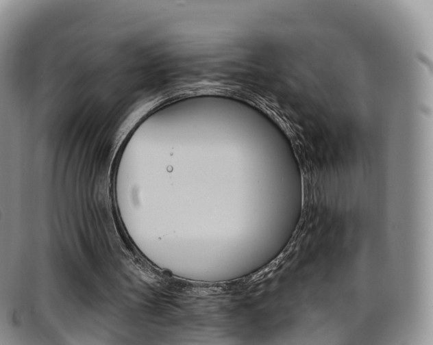 X0000096720147200802051107