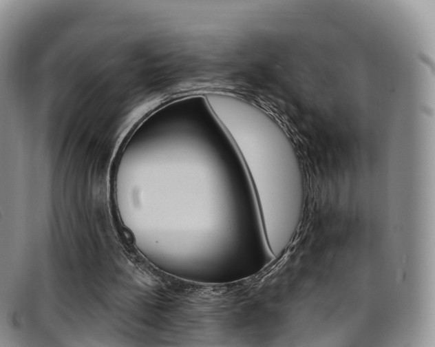 X0000096720148200802051107
