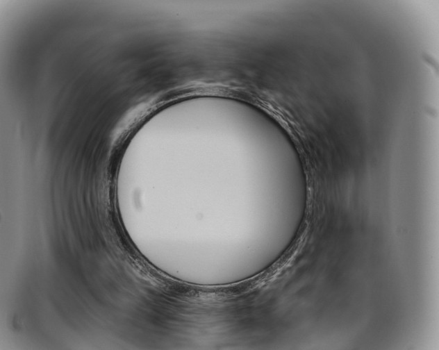 X0000096720149200802051107
