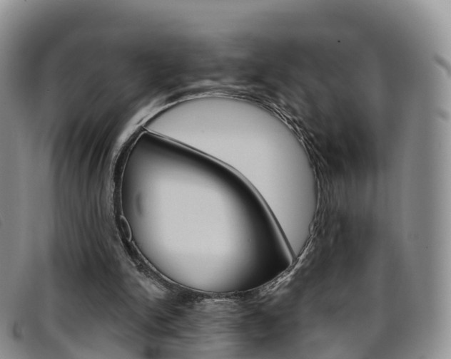 X0000096720150200802051107
