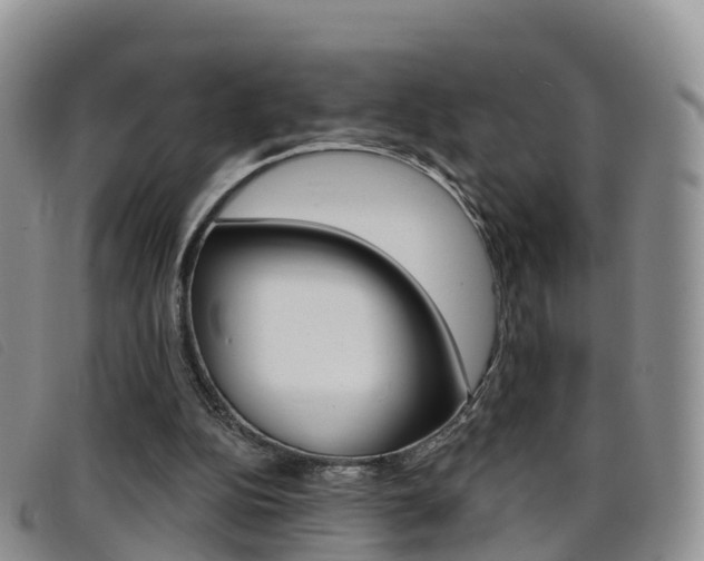 X0000096720152200802051107