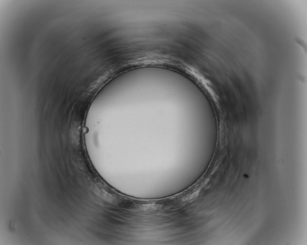 X0000096720153200802051107