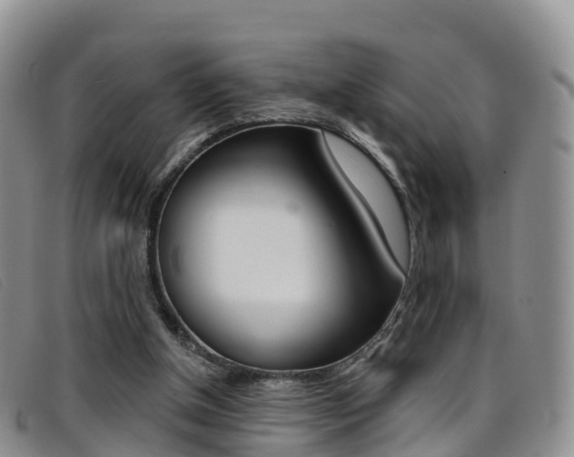 X0000096720154200802051107
